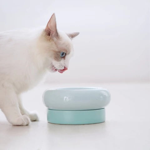 MS! Cat Bowl