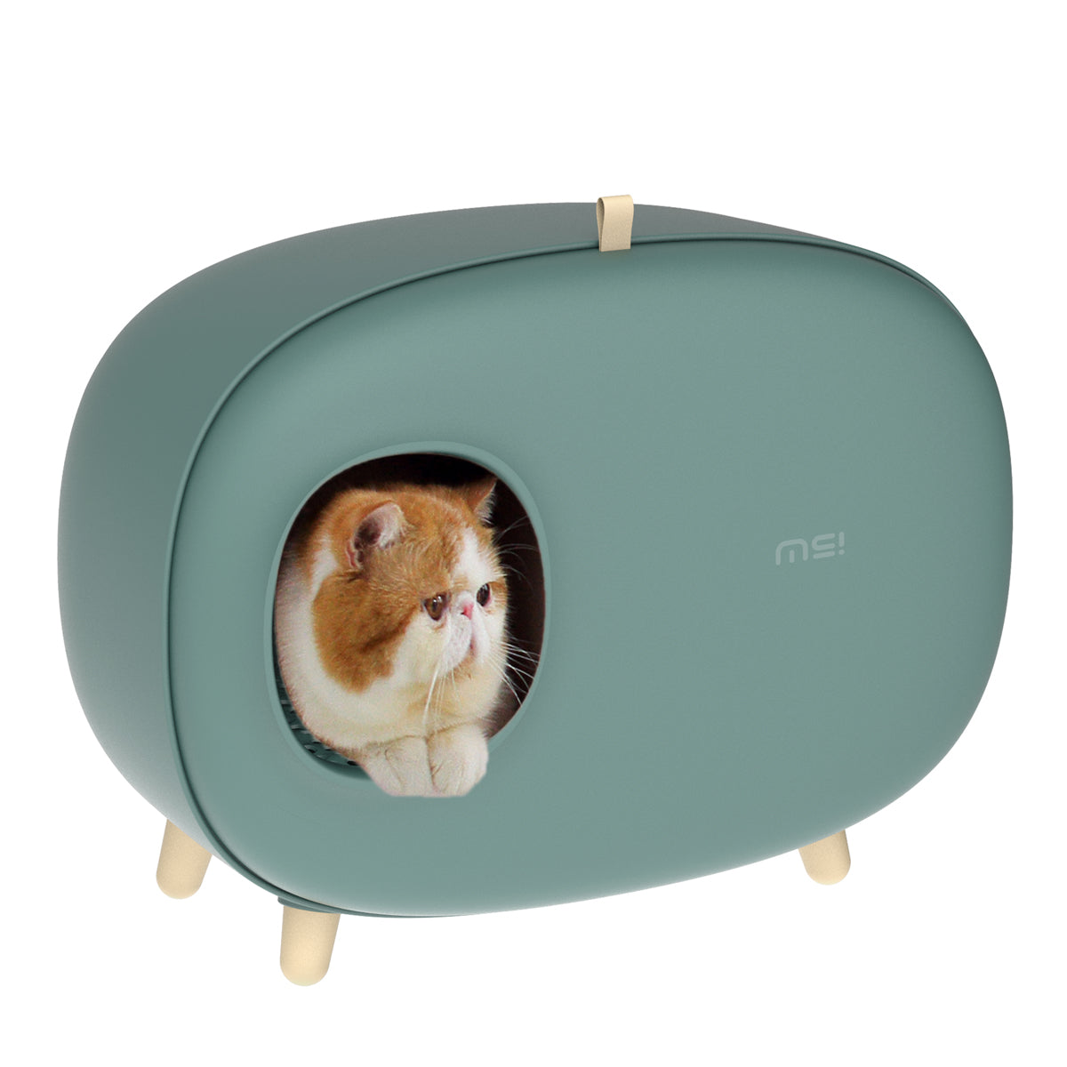 MS! Cat Litter Box