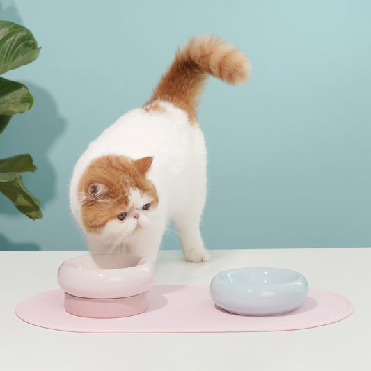 MS! Cat Bowl