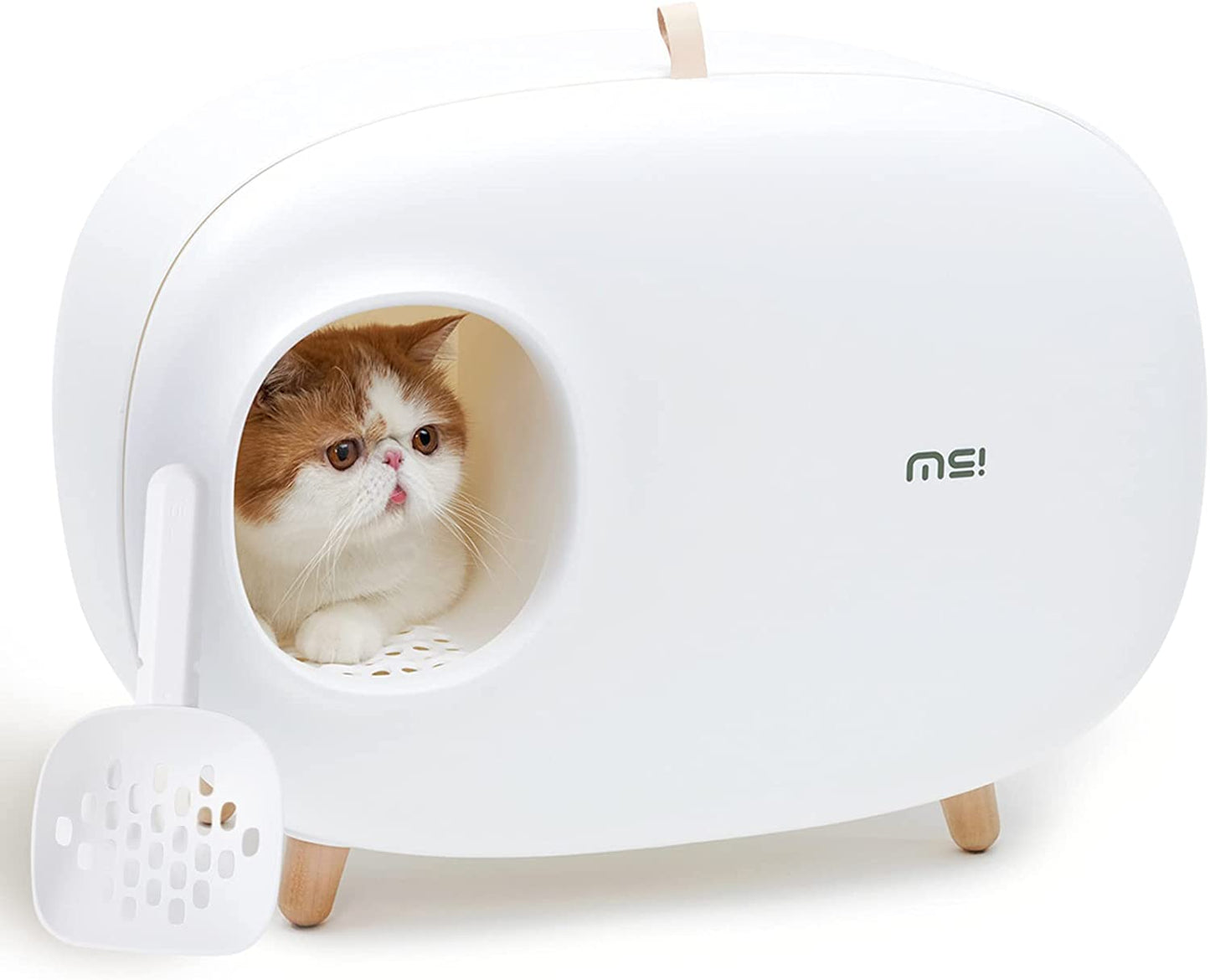 MS! Cat Litter Box