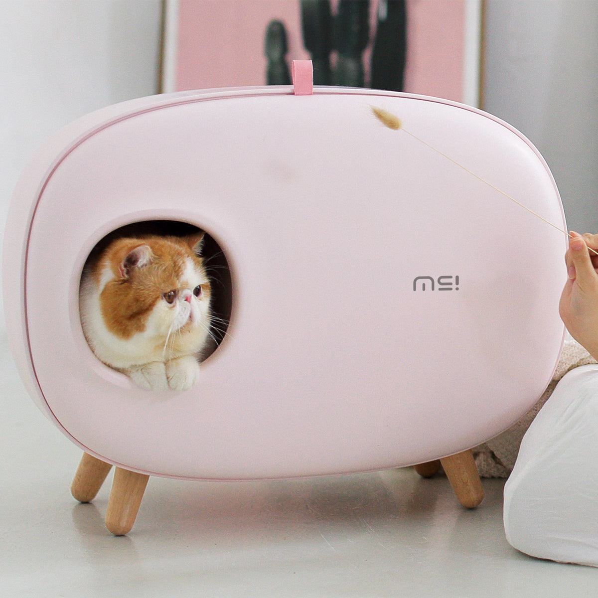 MS! Cat Litter Box